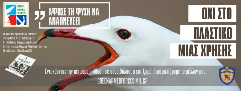 cover3