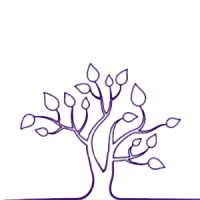 tree_trans